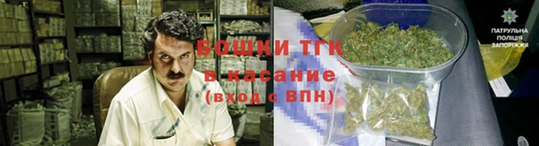 ГАЛЛЮЦИНОГЕННЫЕ ГРИБЫ Белокуриха