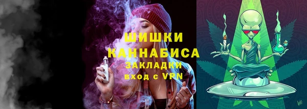 шишки Белоозёрский