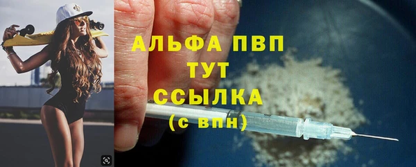 шишки Белоозёрский