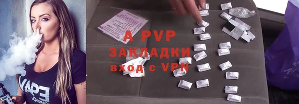 шишки Белоозёрский