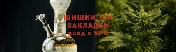 шишки Белоозёрский