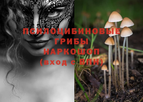 ГАЛЛЮЦИНОГЕННЫЕ ГРИБЫ Белокуриха