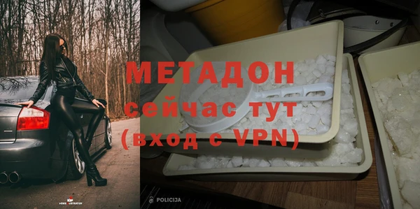 шишки Белоозёрский