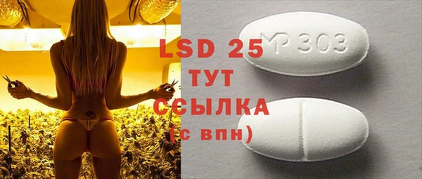 ГАЛЛЮЦИНОГЕННЫЕ ГРИБЫ Белокуриха