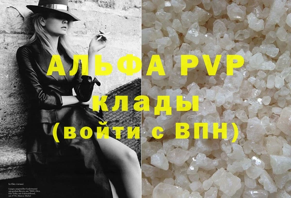 шишки Белоозёрский