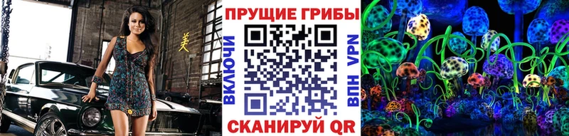 как найти   Малая Вишера  Псилоцибиновые грибы Magic Shrooms 